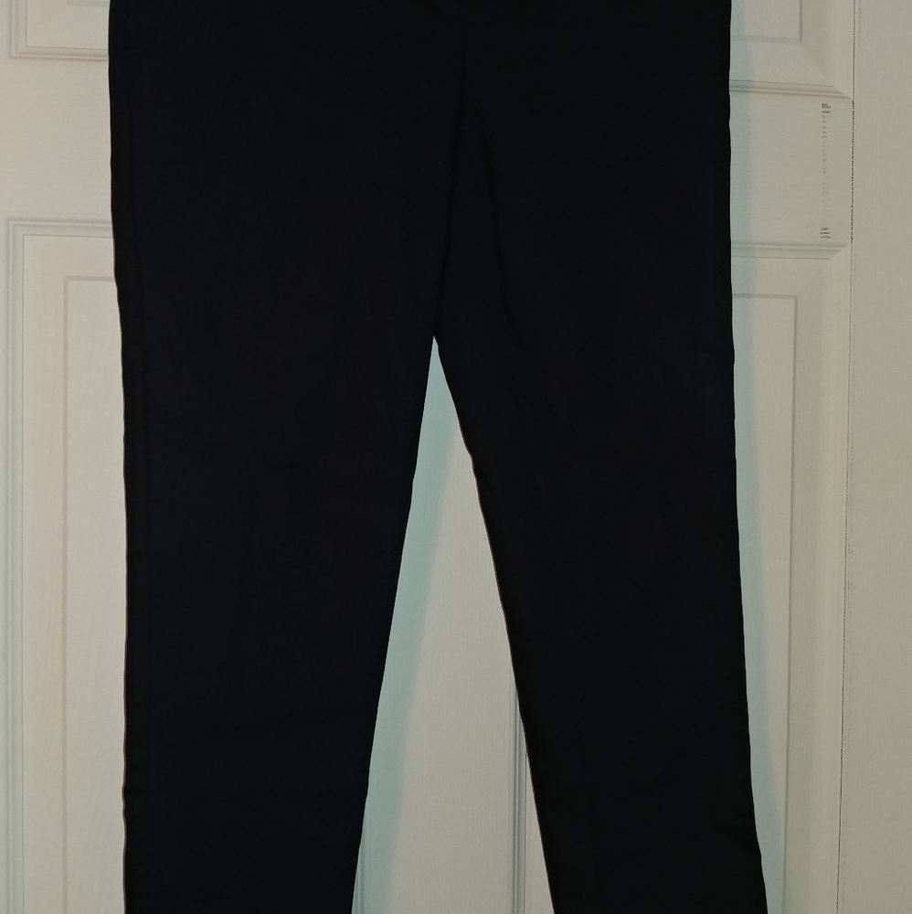 LOFT navy marissa skinny 0